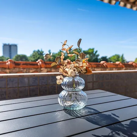 Apartament Adriana
